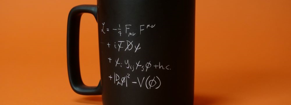 Standard Model mug