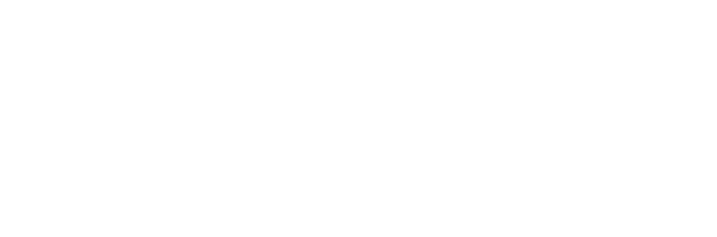 Carla Fendi Foundation