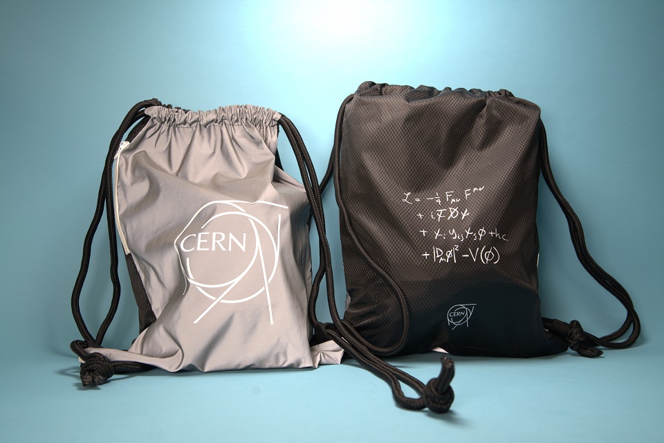 reflective bag